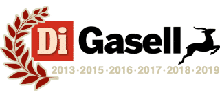 DI Gasell logga 6 år